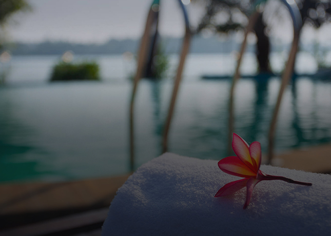 Pool at Akanta Ayurveda and Yoga